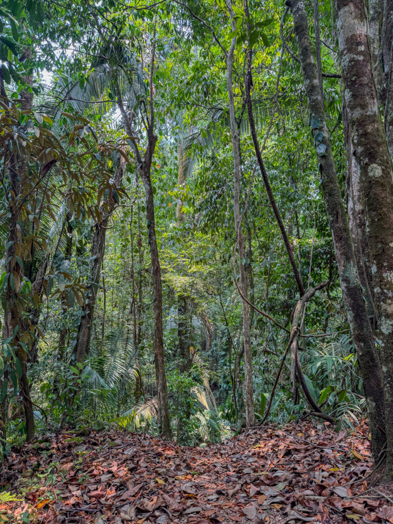 Belize nature reserves 