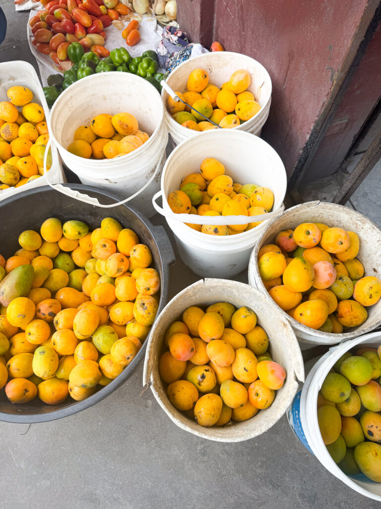 Mango season Belize 