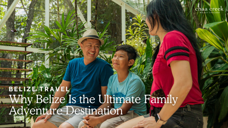 family blog cover