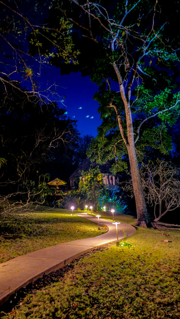 img 8245