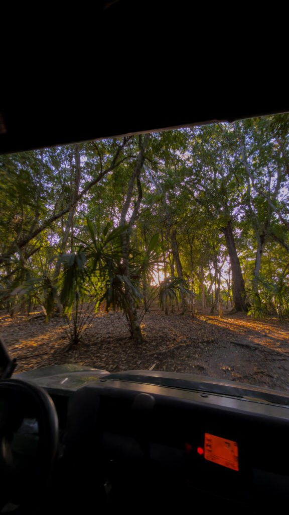 RTV Safari Tour at Chaa Creek 