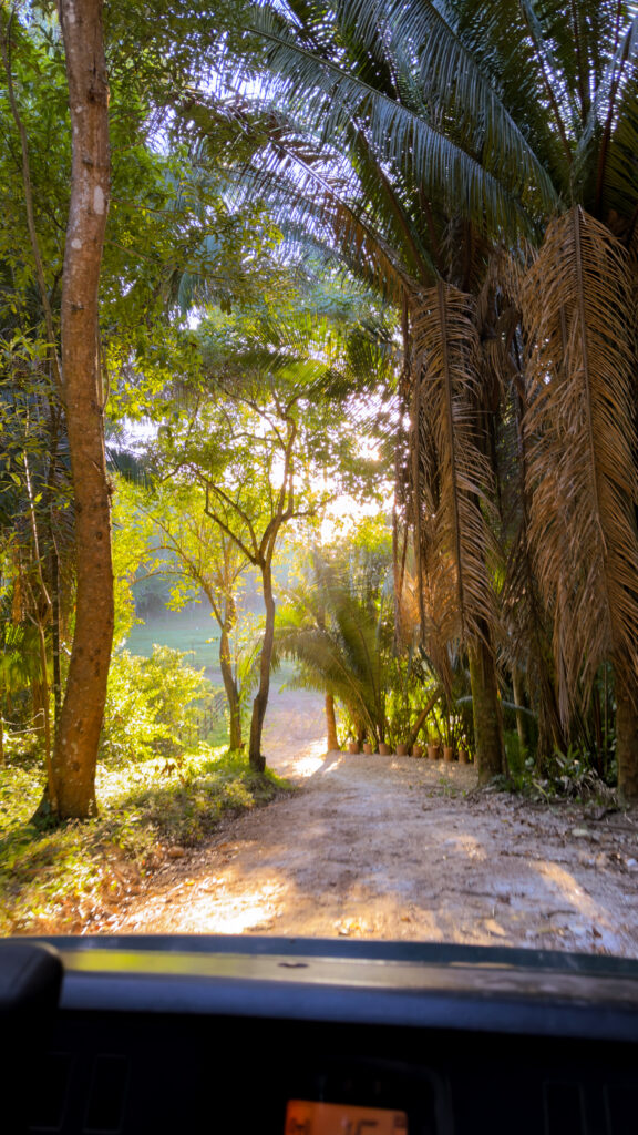 Nature Reserve at Chaa Creek 