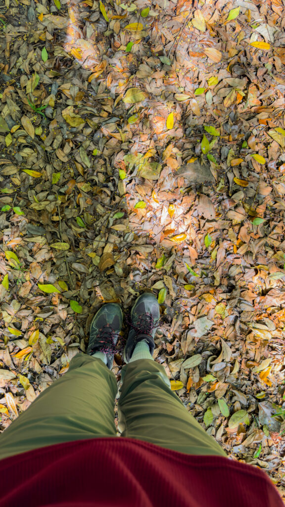 Hike at the lodge at Chaa Creek 