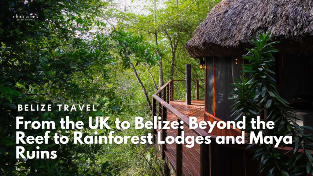 Belize to the UK