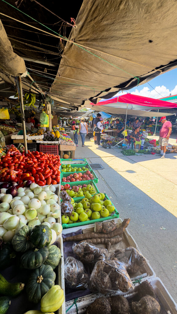 San Ignacio Farmers Market 