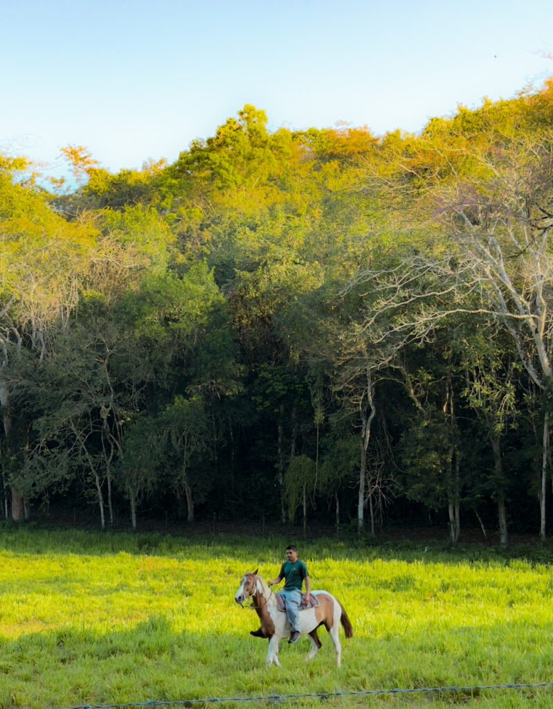 500 acres of nature reserve western Belize