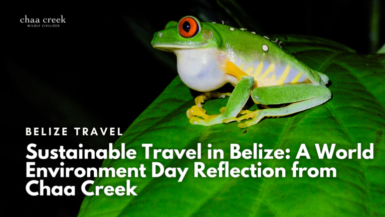 world enviroment day belize