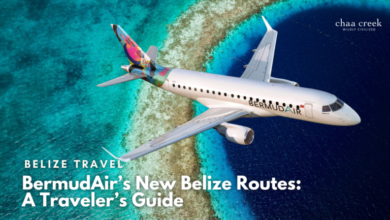 belize flights