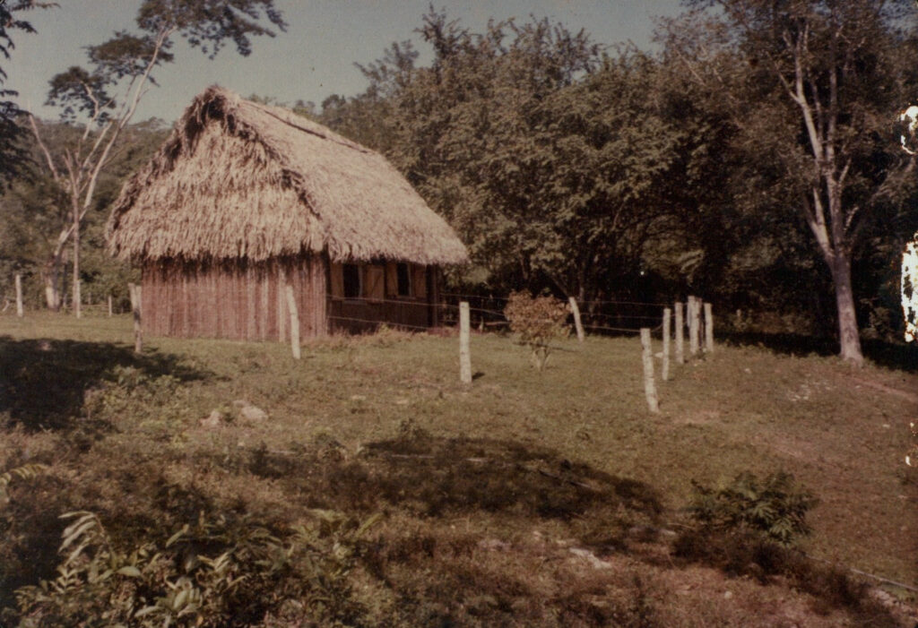 cottages 13