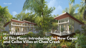 Copal and Ceiba Villas New at Chaa Creek
