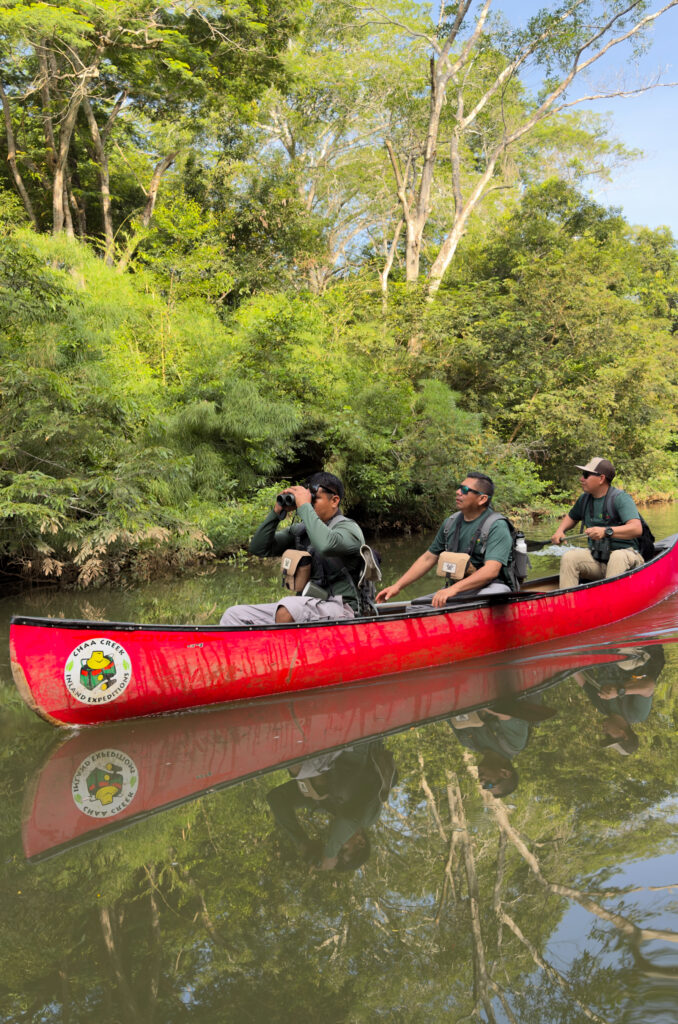Birding Chaa Creek